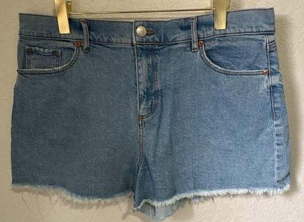 LOFT Denim Jean Shorts Blue Raw Hem